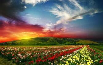 Spring Landscape Desktop Wallpaper Funmozar