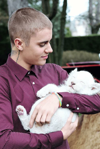 Justin Bieber Background