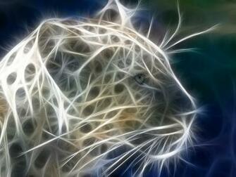 Animal Cool Background