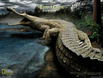 Dinosaur Digital HD Desktop Wallpaper Nature Best