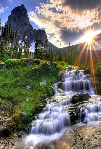 Amazon Laeacco Nature Scenery Background Sunlight
