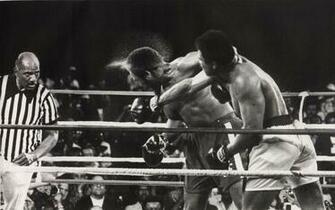 Boxing Computer Wallpaper Desktop Background Id