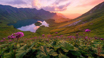 Mountain Lake Sunset Flower Field Nature Scenery 4k Wallpaper