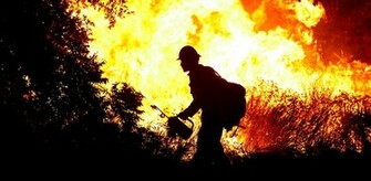 Photography Fire Forest Firemen Fireman Wallpaper