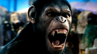 Dawn Of The Planet Apes Wallpaper Action Drama