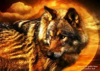 Twilight Wolf High Quality And Resolution Wallpaper On