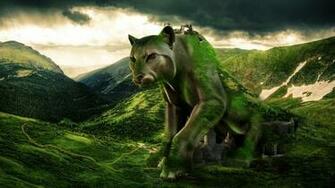 Serious Greenish Puma HD Wallpaper And 4k
