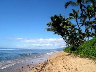 Maui Hawaii Desktop And Mobile Wallpaper Wallippo