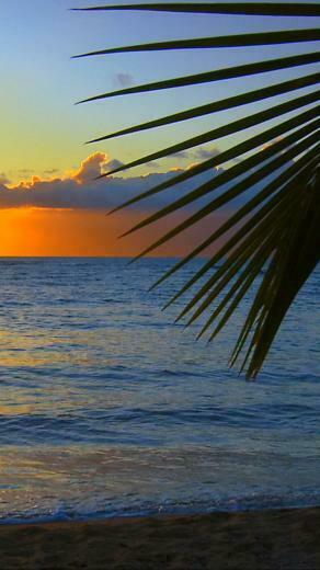 Beach Wallpaper For iPhone HD