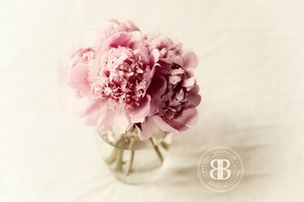 February Desktop Wallpaper Brenda Landrum Lifestyle