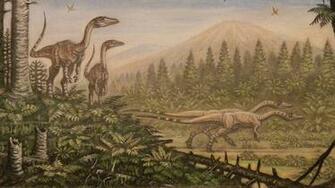 Photo Dinosaurs Coelophysis Peteinosaurus Animals