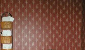 Wallpaper Stripping You Can Buy A Steam Stripper From Diy
