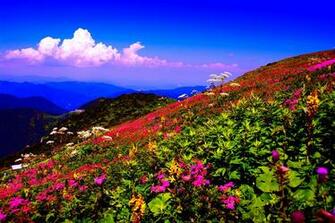 Mountain Spring Desktop Background Full Size Image X