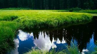 Best Wallpaper HD Nature