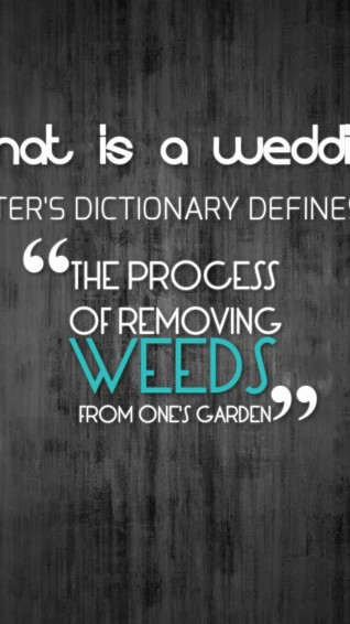 Cute Quote Wallpaper