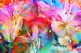 Abstract Art By Jaison Cianelli Artist Gallery
