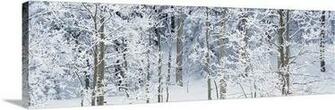 Taos New Mexico Photos National Geographic HD Landscape Wallpaper