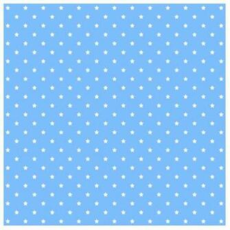 Light Blue And White Star Pattern Photo Cutouts