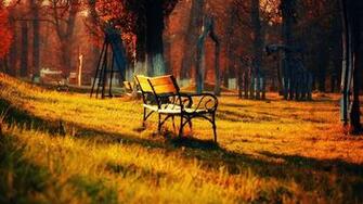 Bench Autumn Landscape Widescreen Wallpaper HD Background