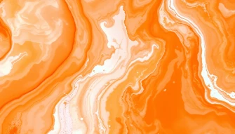 Best Orange Wallpaper