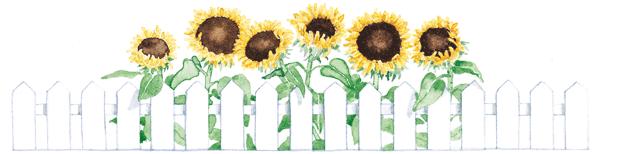 Graphic By The Talented Susan Branch Susanbranch