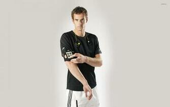 Andy Murray Wallpaper Sport