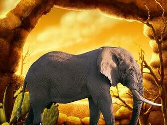 Elephants Best Wallpaper Computer
