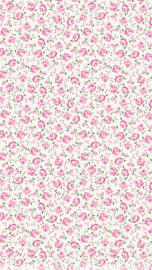 Installing This Baby Pink Roses iPhone Wallpaper Is Very Easy Just