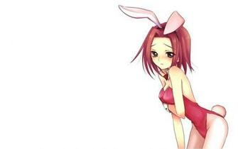 Geass Wallpaper Code Bunny Girl Stadtfeld Kallen