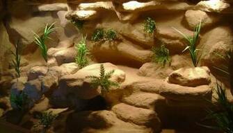 Faux Rock Reptile