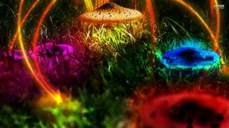 Amazing 3d Mushroom UHD Android Apps Games On Brothersoft