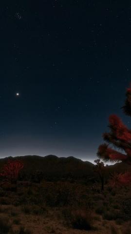Desert Night Sky iPhone Wallpaper