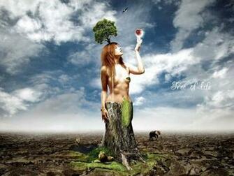 Of Life Wallpaper Tree For Desktop