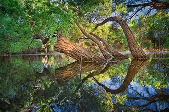 Symmetrical Nature Photo By Bob Larson Pixdaus