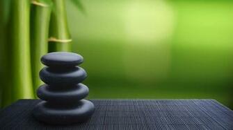 Zen Wallpaper Japanese Inn Hoshinoya Kyoto Bonsai