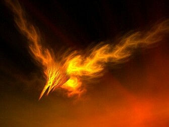 Phoenix Bird HD Wallpaper