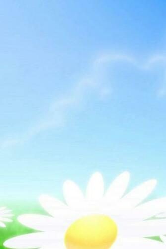 HD Cute White With Yellow Flower iPhone Wallpaper Background