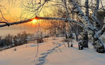 Sunny Winter Day Wallpaper R