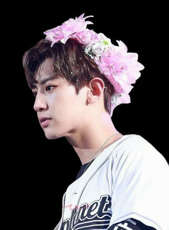 Chanyeol Transparent Pink Picture
