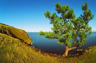 Nature HD Wallpaper Pack Tech Bug Best Technology