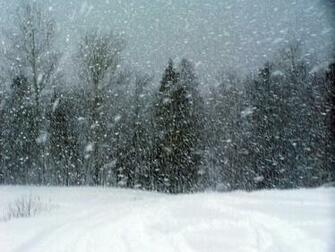 Community Mediation Center Tips On Being A Good Neighbor In The Storm