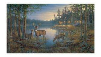 Places Deer Prepasted Wallpaper Mural Country Cabin Wall Decor