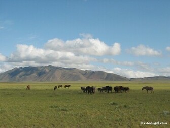 Photos Of Mongolia Wallpaper For Your Computer Retrieve