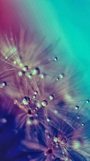 Samsung Galaxy S3 Wallpaper Albums