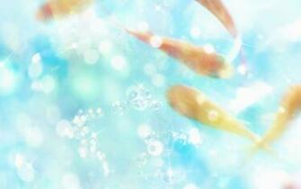 Girls Wallpaper Diamond Desktop Papers Screen Laptops Animater
