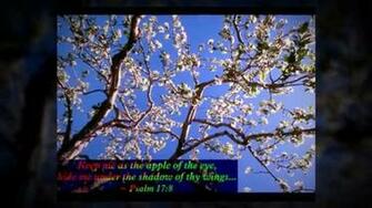 Apr So Get Screensavers With Bible Quotes Right On Your
