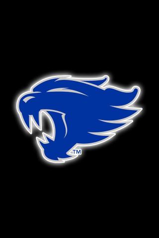 Get A Set Of Officially Ncaa Licensed Kentucky Wildcats iPhone