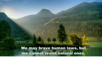 Wallpaper Nature Quotes And Image HD