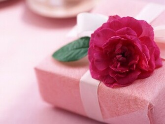 Beautiful Flower Wallpaper For You Gift And Love