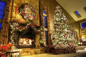 Beautiful Christmas Trees Photography Heat